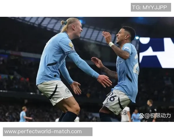 德甲精彩对决热刺逆转切尔西全场沸腾战报回顾